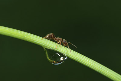 BUITEN BEELD Foto: 36380