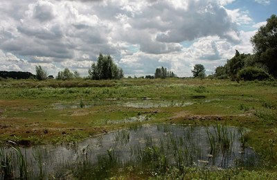 BUITEN BEELD Foto: 36385
