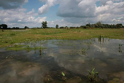 BUITEN BEELD Foto: 36386