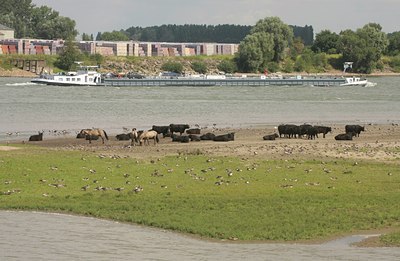 BUITEN BEELD Foto: 36389