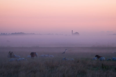 BUITEN BEELD Foto: 36417