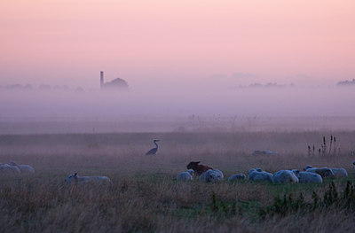 BUITEN BEELD Foto: 36418