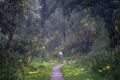 BUITEN BEELD Foto: 36450