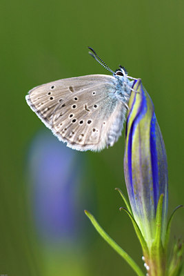 BUITEN BEELD Foto: 36465