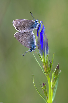 BUITEN BEELD Foto: 36469