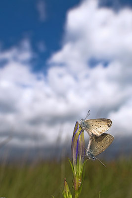 BUITEN BEELD Foto: 36474