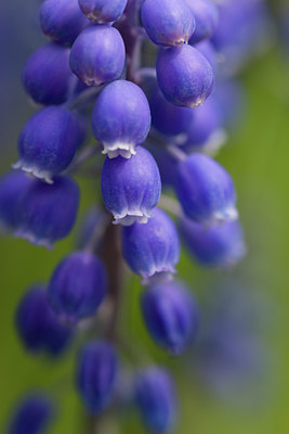 BUITEN BEELD Foto: 36487