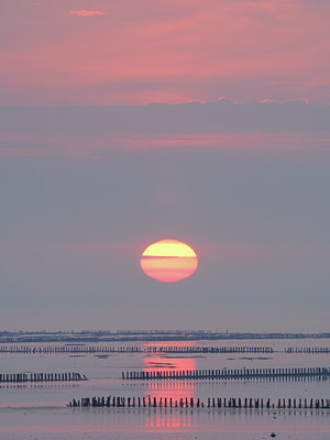 BUITEN BEELD Foto: 36626