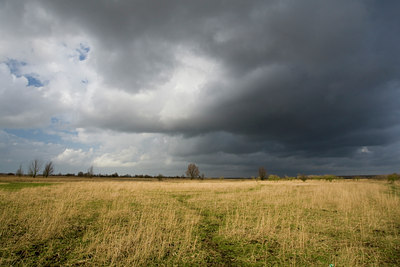 BUITEN BEELD Foto: 36645