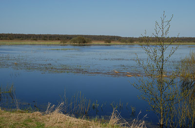 BUITEN BEELD Foto: 36650