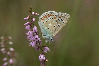 BUITEN BEELD Foto: 36739