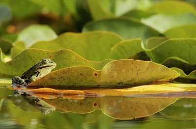 BUITEN BEELD Foto: 36746