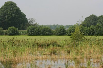 BUITEN BEELD Foto: 36757