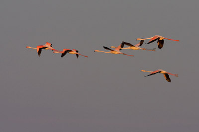 BUITEN BEELD Foto: 36767