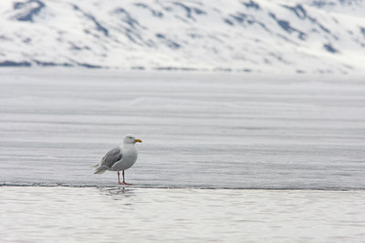 BUITEN BEELD Foto: 36780