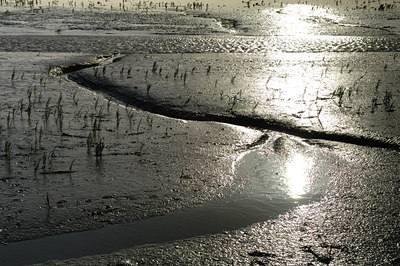 BUITEN BEELD Foto: 36866