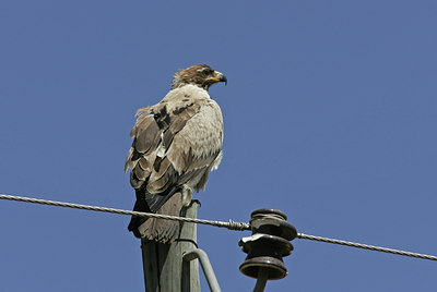 BUITEN BEELD Foto: 36868