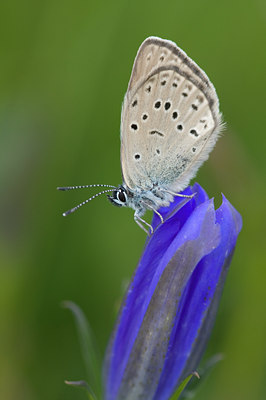 BUITEN BEELD Foto: 36884