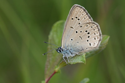BUITEN BEELD Foto: 36885