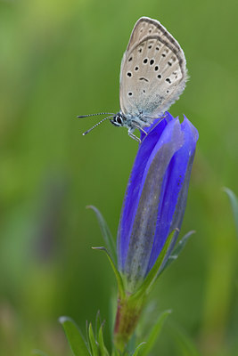 BUITEN BEELD Foto: 36886