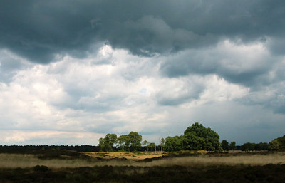BUITEN BEELD Foto: 36910