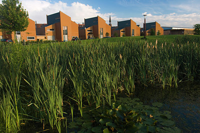 BUITEN BEELD Foto: 36912