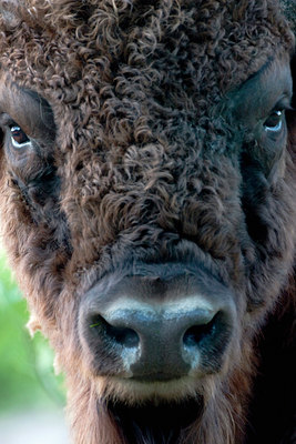 BUITEN BEELD Foto: 36937