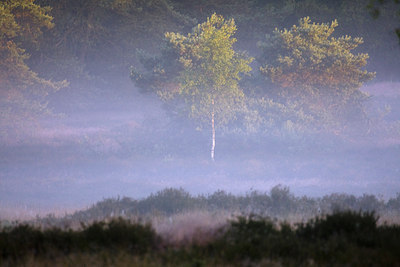 BUITEN BEELD Foto: 36951