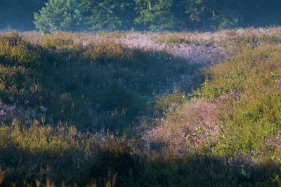 BUITEN BEELD Foto: 36955