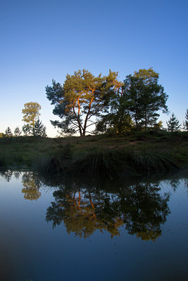 BUITEN BEELD Foto: 36956