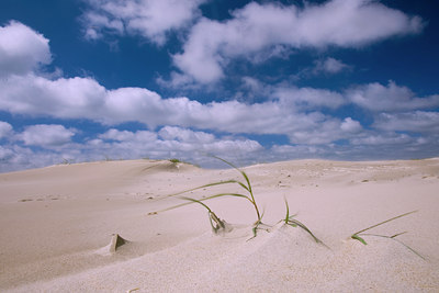 BUITEN BEELD Foto: 36957