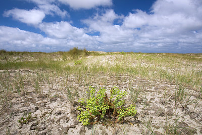 BUITEN BEELD Foto: 36960