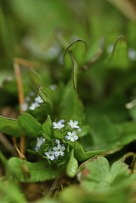 BUITEN BEELD Foto: 369000