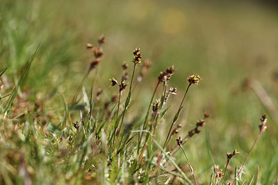 BUITEN BEELD Foto: 369292