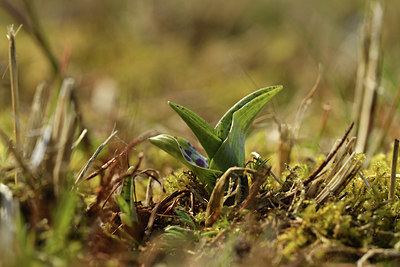 BUITEN BEELD Foto: 369294