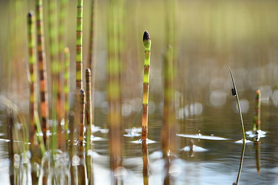 BUITEN BEELD Foto: 369314