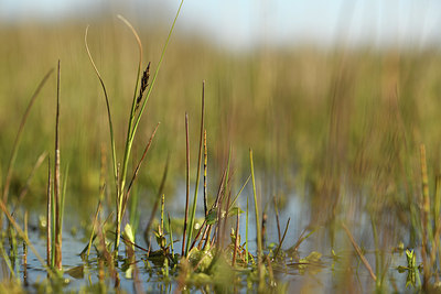 BUITEN BEELD Foto: 369504