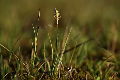 BUITEN BEELD Foto: 369512