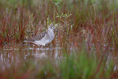 BUITEN BEELD Foto: 370595
