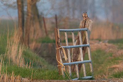 BUITEN BEELD Foto: 370709