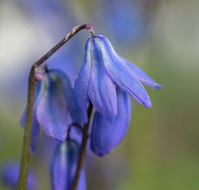 BUITEN BEELD Foto: 370930