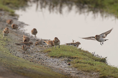 BUITEN BEELD Foto: 370959