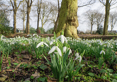 BUITEN BEELD Foto: 371059