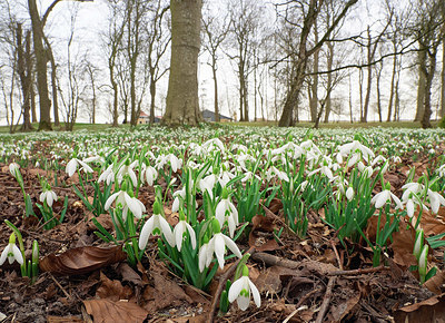 BUITEN BEELD Foto: 371061