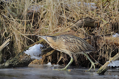 BUITEN BEELD Foto: 371131