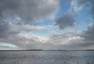 BUITEN BEELD Foto: 371245