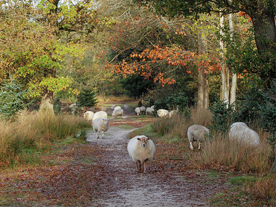 BUITEN BEELD Foto: 371362