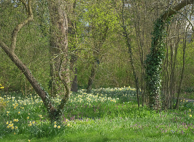BUITEN BEELD Foto: 371370