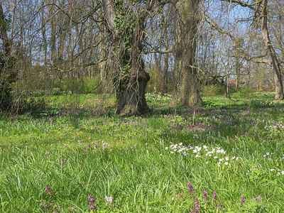 BUITEN BEELD Foto: 371372