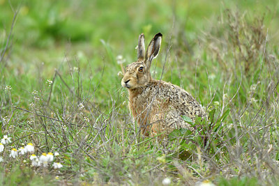 BUITEN BEELD Foto: 371444